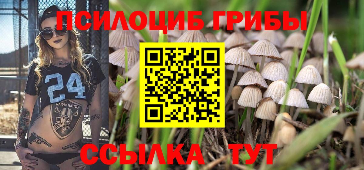 Псилоцибиновые грибы MAGIC MUSHROOMS  Галлюциногенные грибы Psilocybine cubensis  Вход с VPN  Сорочинск 